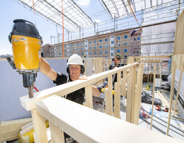 Alexander Pettersson, snickare